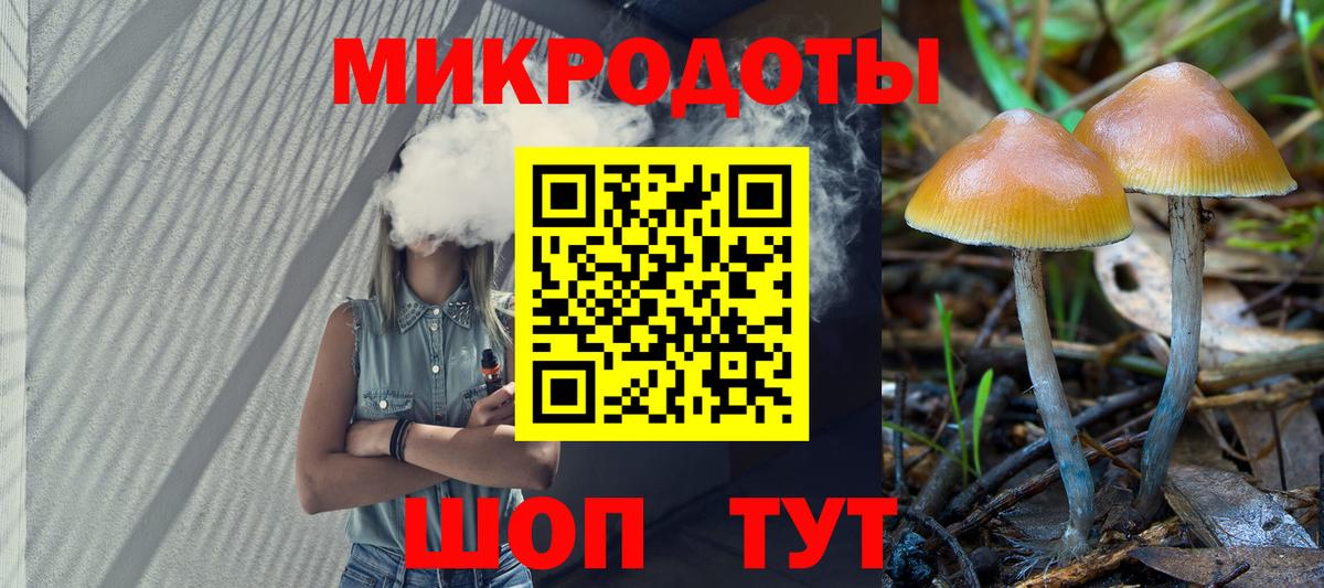 Галлюциногенные грибы MAGIC MUSHROOMS  Вход с VPN  Боровичи  Галлюциногенные грибы Psilocybe 