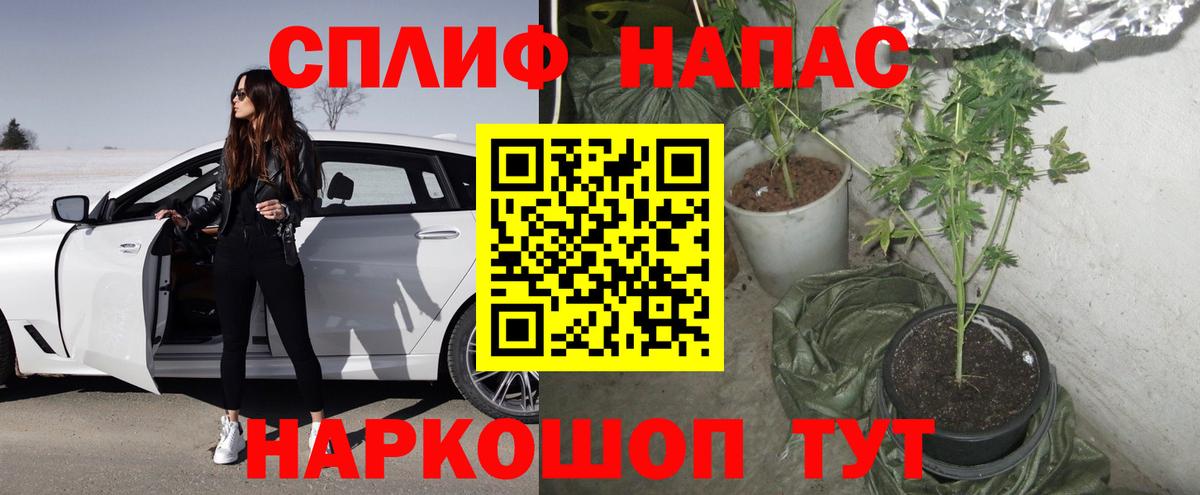 Канабис планчик  Конопля Ganja  Канабис планчик  Боровичи  Вход с VPN 